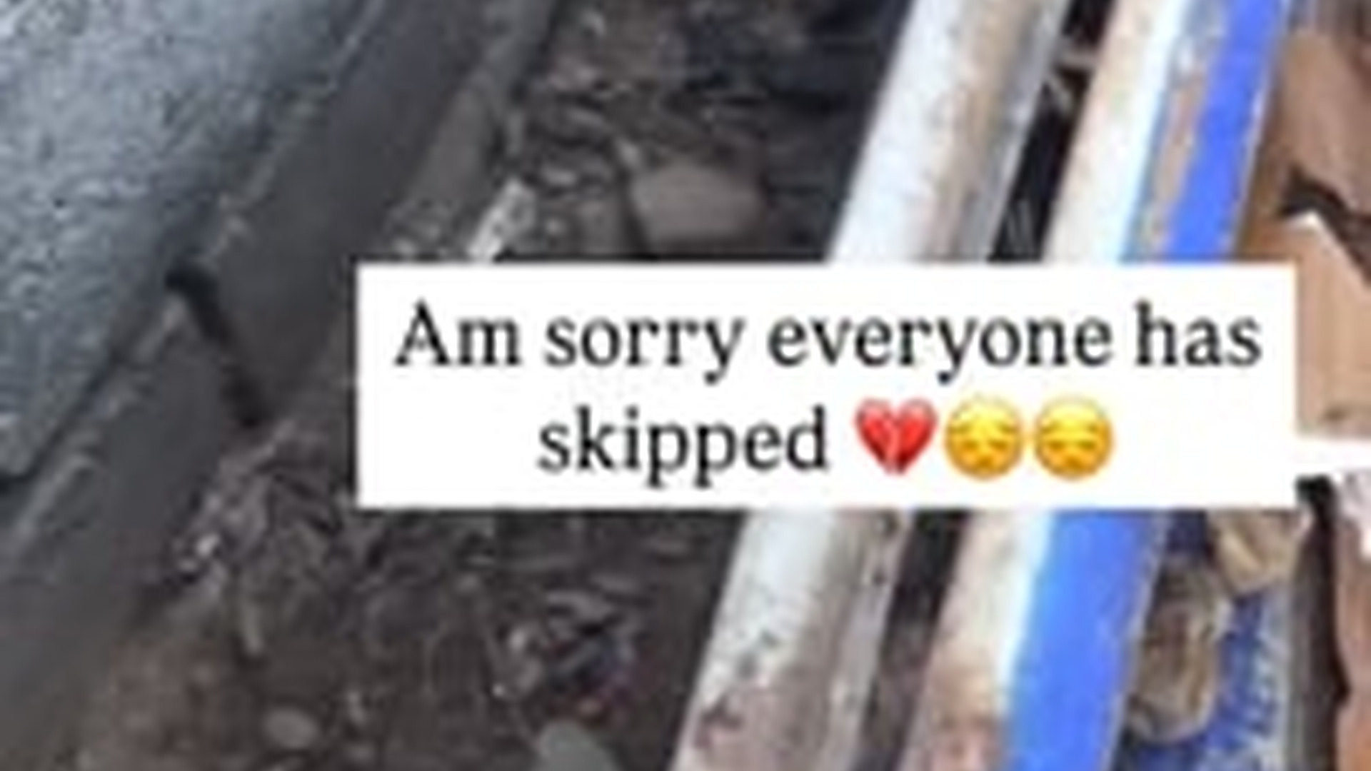 N0203106_Will You Stay and Give Me Food This Hungry Dog Begged with His Eyes