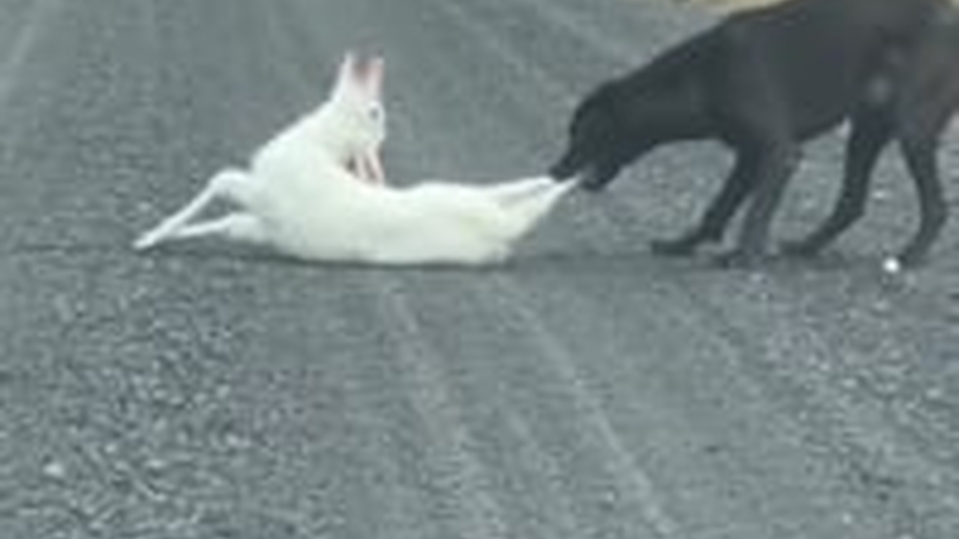 N1203024_I Thought Something Bad Would Happen So I Could Not Walk Away