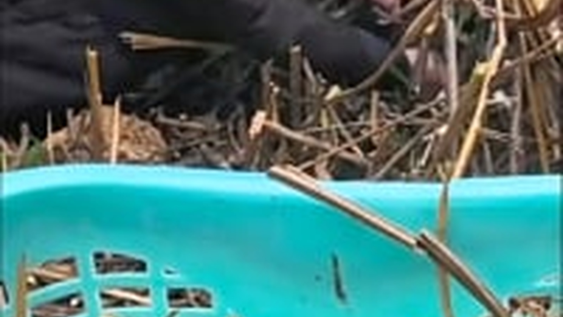 N1203070_No One Helped Him Until This Moment Changed Everything