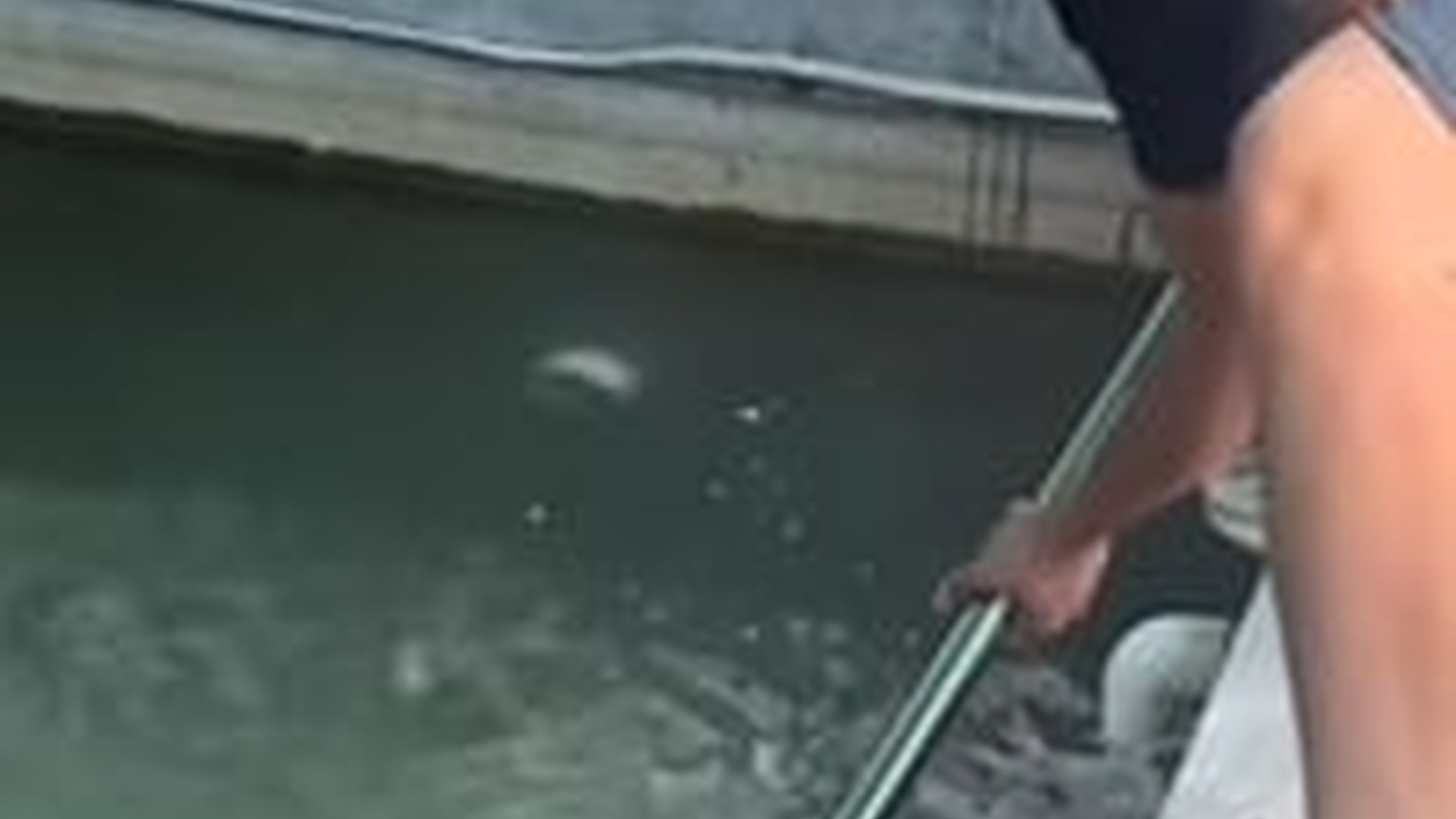 N1203113_He Was Alone on the Road Until Someone Came Back