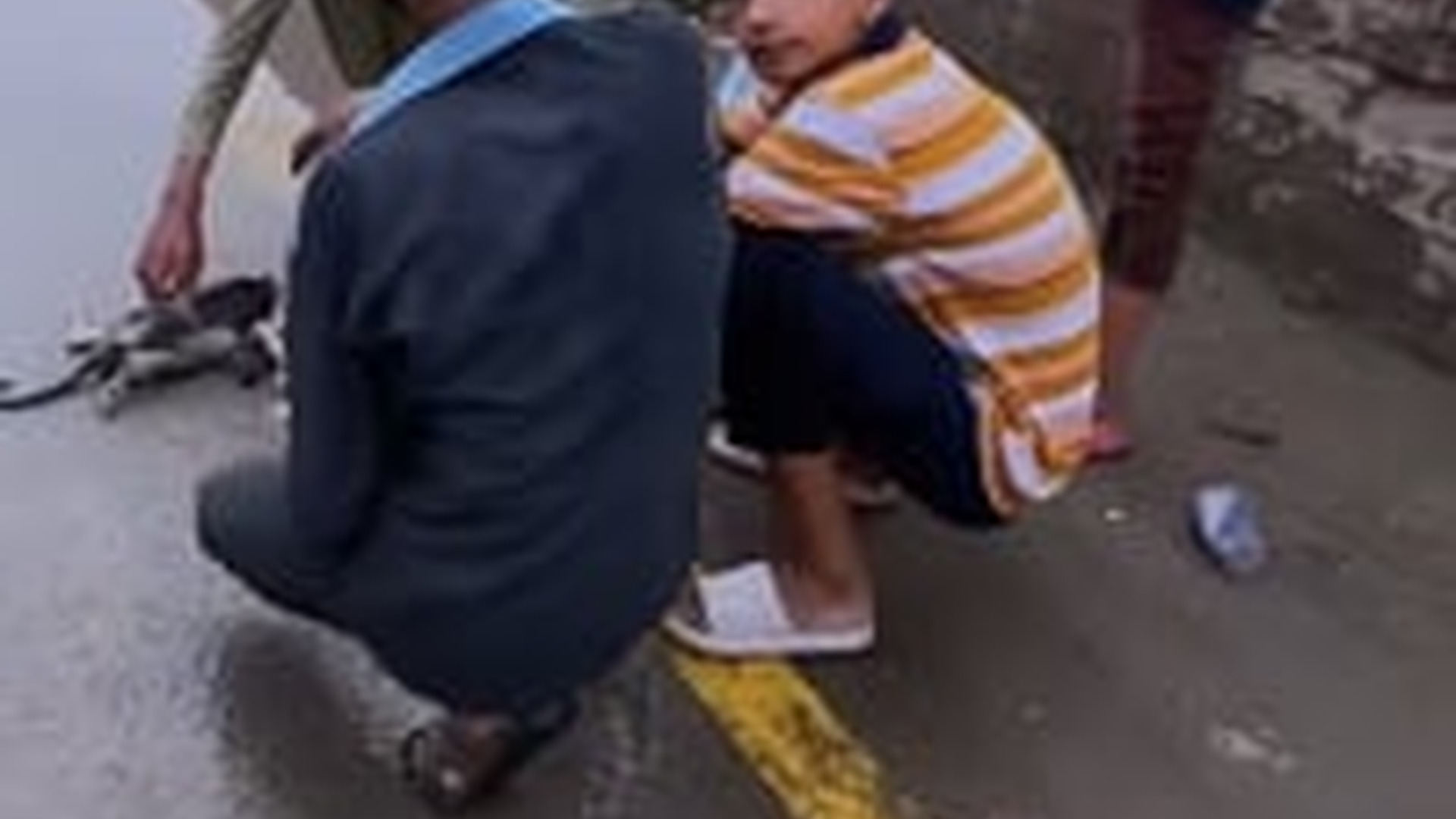 N1303014_Flood Took Everything But We Saved The Cats In Time #catrescue #animalrescue