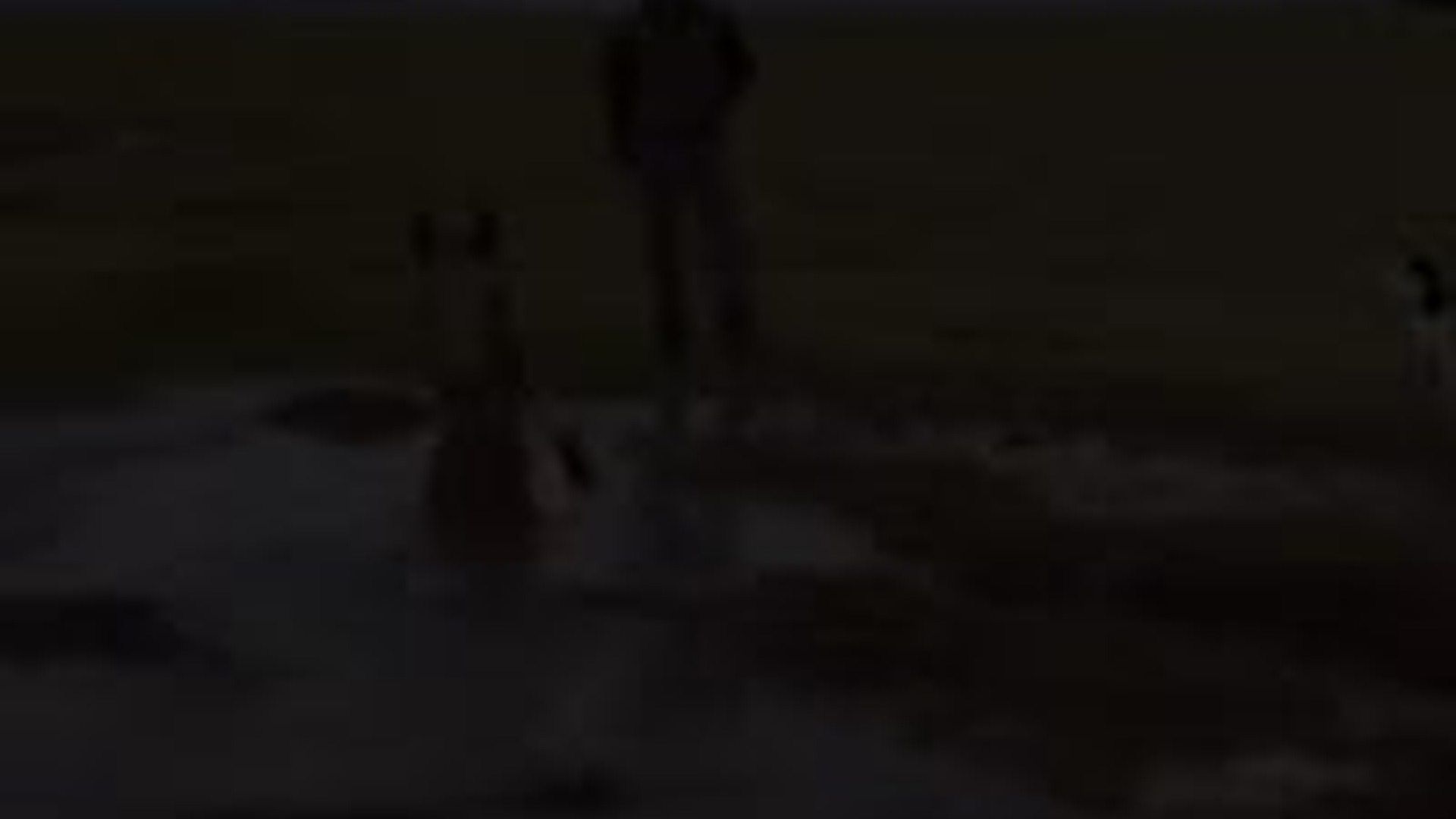 N1303093_Rescued Mountain Lion Never Forgot The Ones Who Helped #wildliferescue #animalrescue