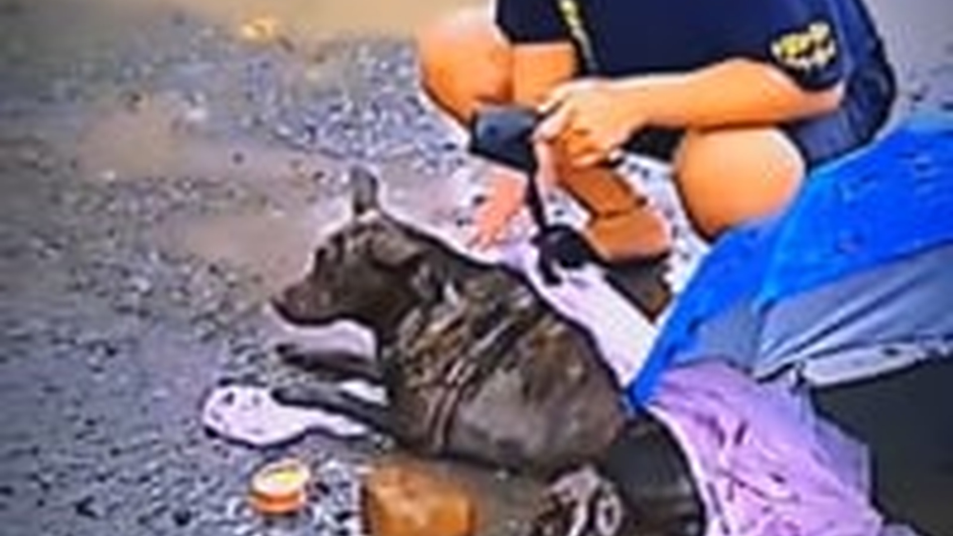 N3003051_Poor Dog Was Saved Just In Time Before It Was Too Late #dogrescue #animalrescue