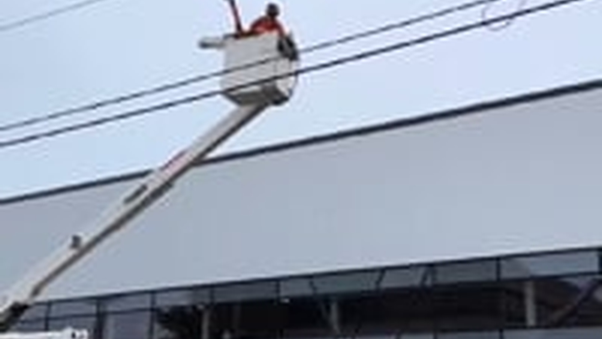 N3003083_Poor Wild Goose Injured And Alone Finally Received Help From Kind Rescuers In Time #animalrescue #wildlife