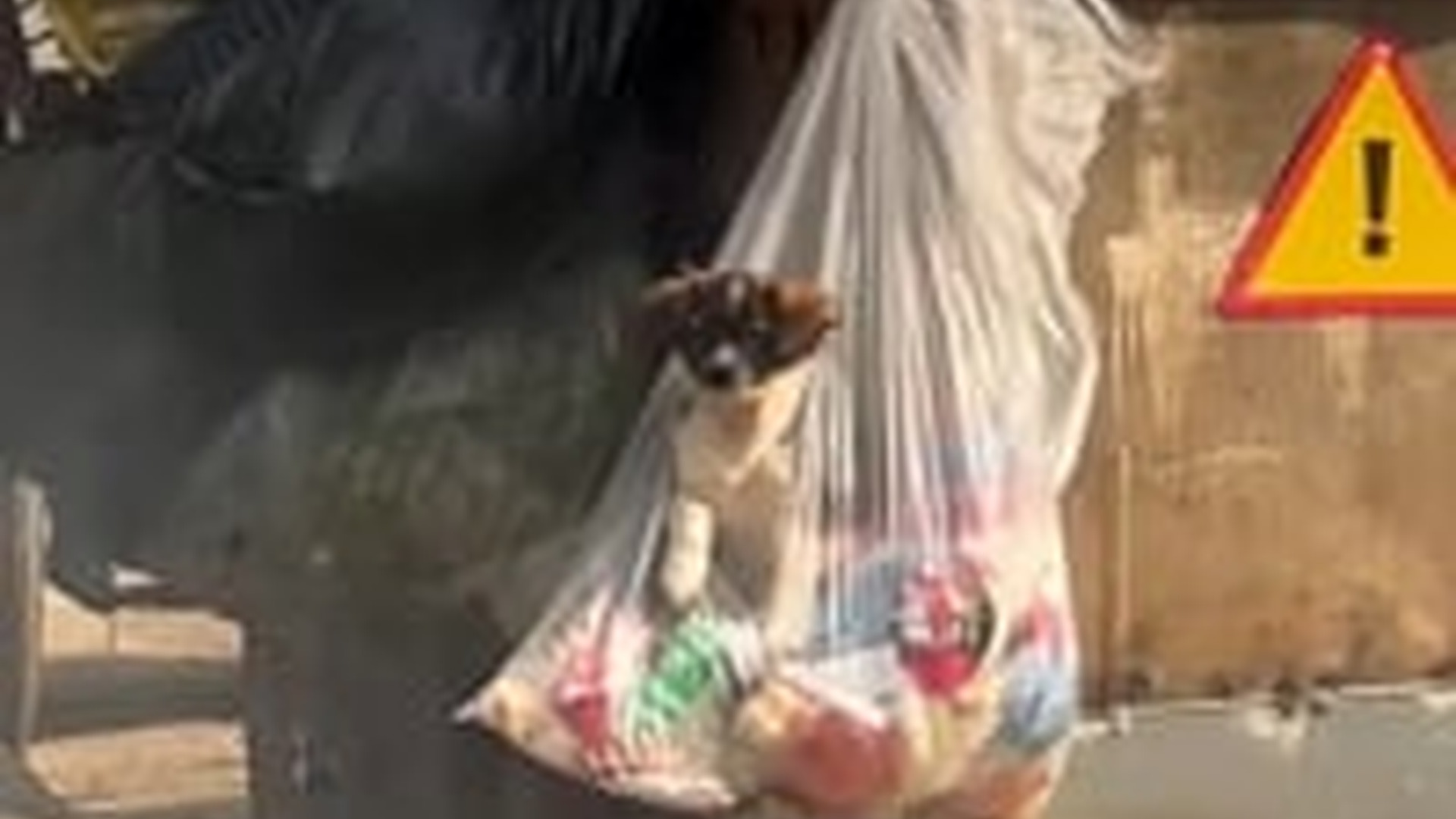 N3003086_Kind Man Saved A Puppy Just Moments Before A Garbage Truck Could Take Its Life Away #rescuedog #animalrescue