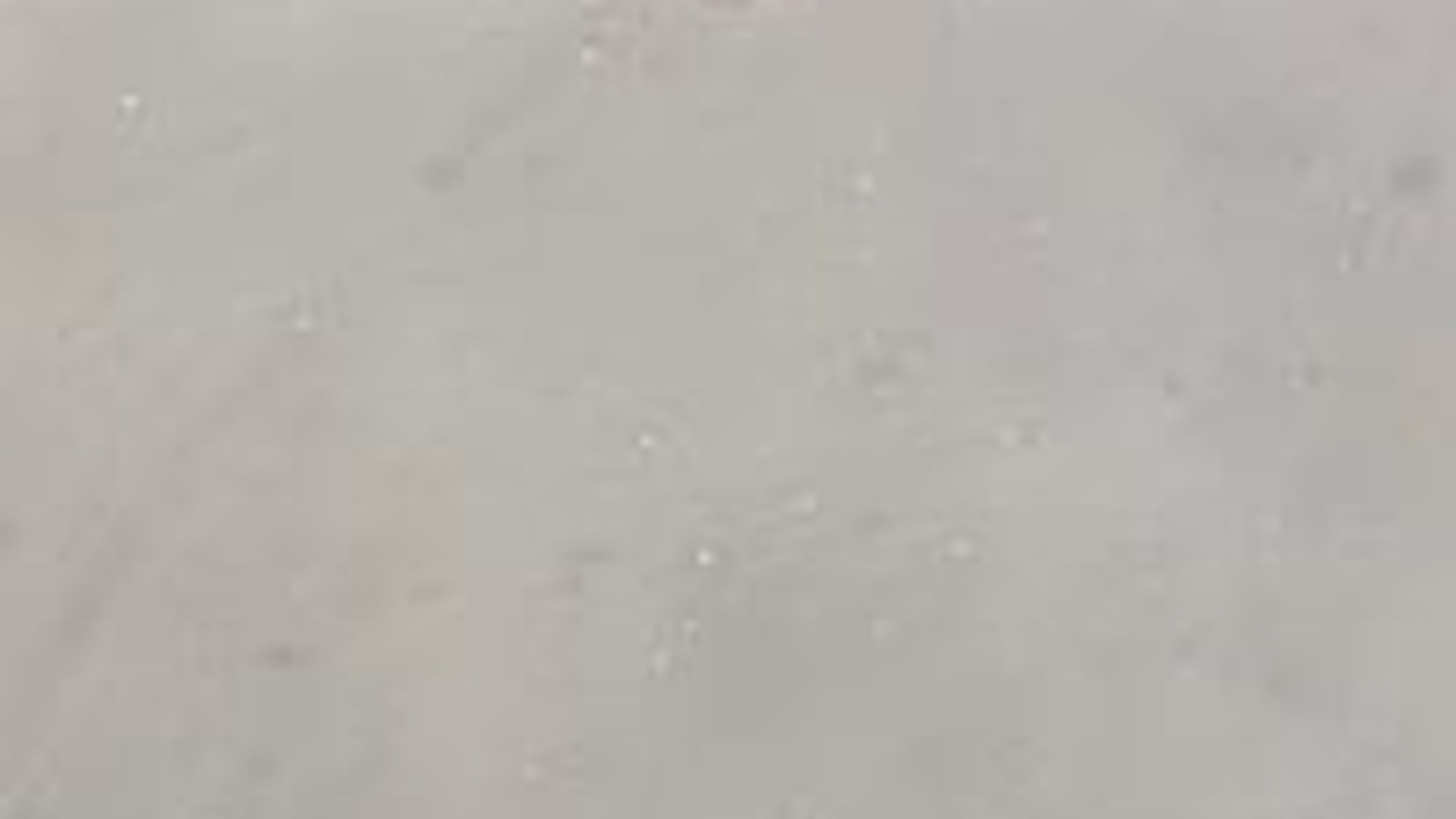 N0404044_Desperate Dog Struggling To Swim Across A Distant Lake Fought For Its Life Until Rescue Reached Him #rescuedog #animalr