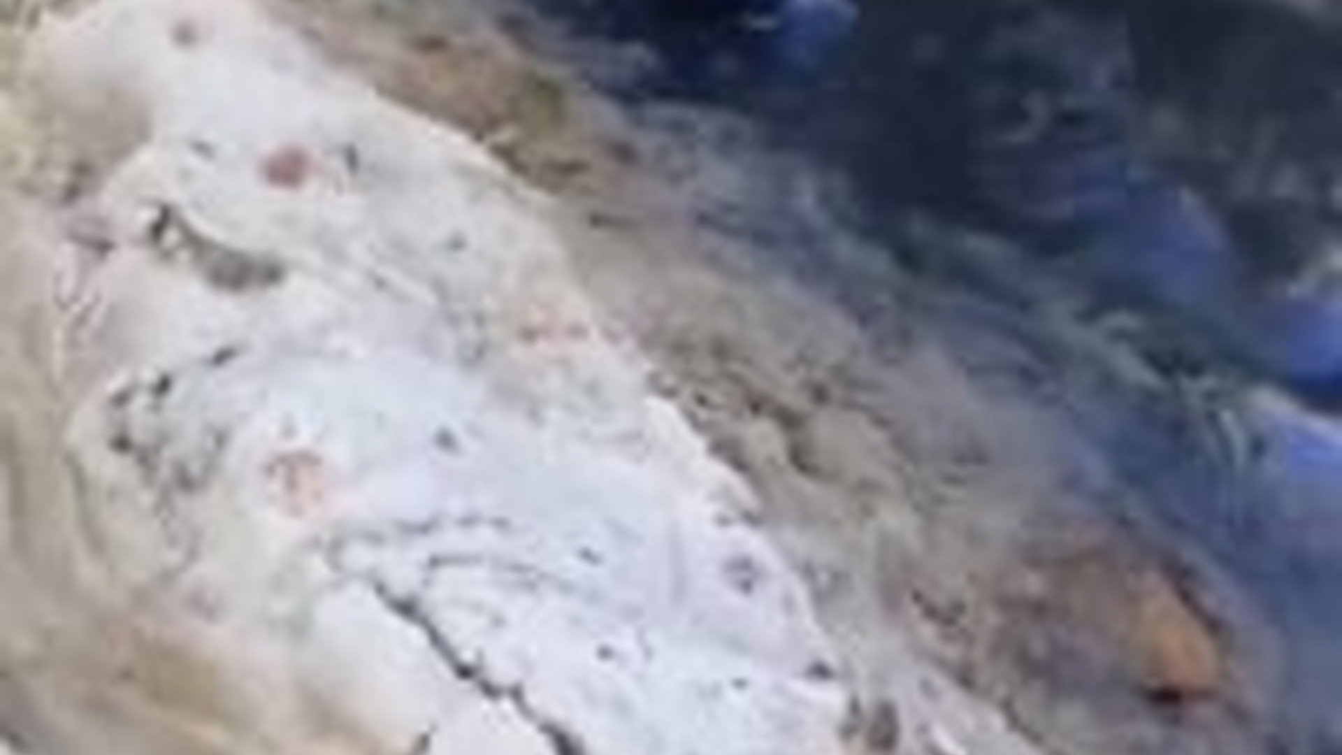 N0704074_Couple Rescued A Fox Trapped In A Muddy River Just Before It Lost All Strength #animalrescue #wildlife