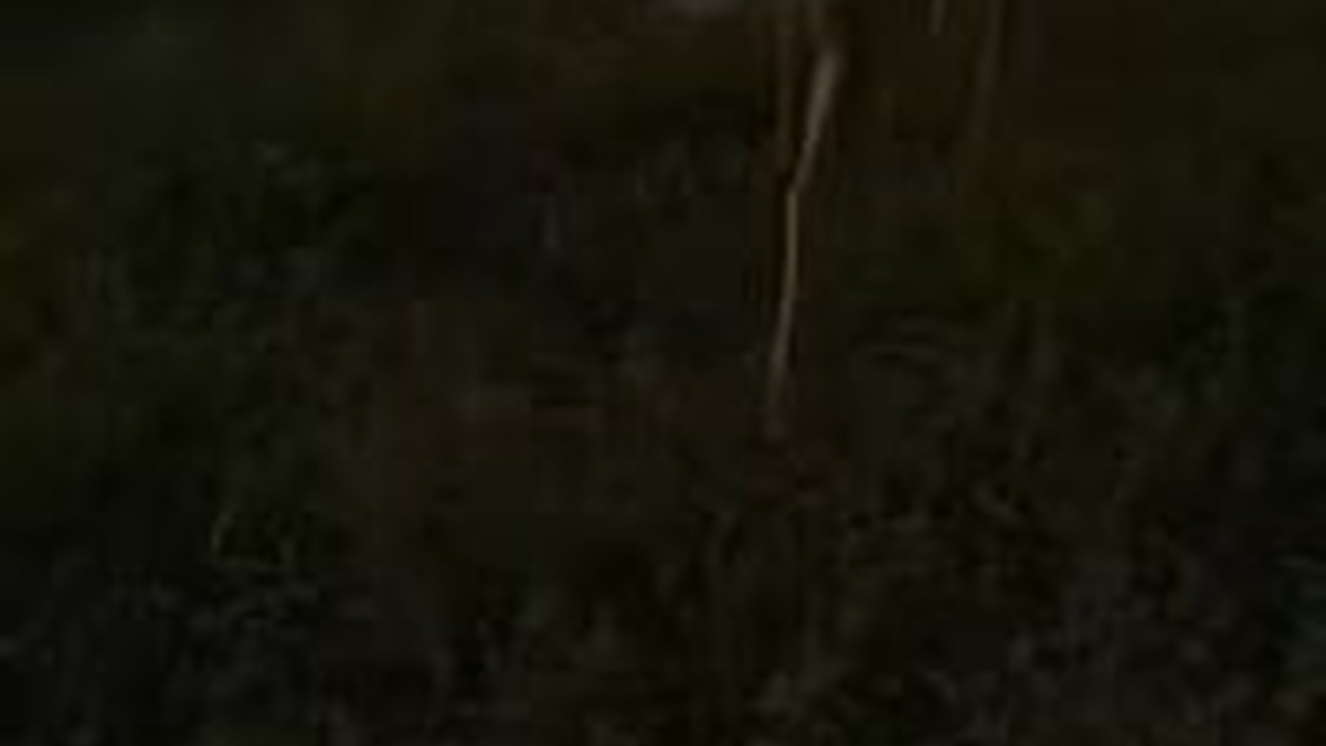 N1004013_A rescued deer story turned into an emotional surprise