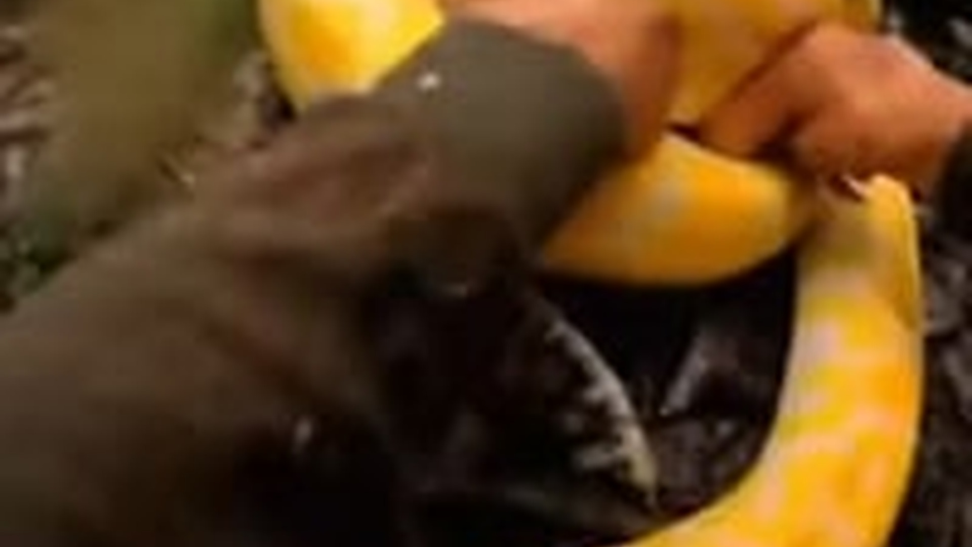 N1004094_An unbelievable ending saved a life no one thought would survive