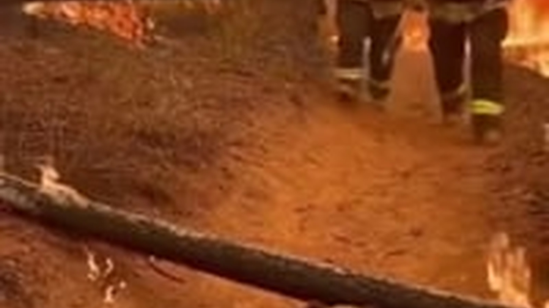 N1004096_A tiny bear cub trapped helplessly cried out in fear