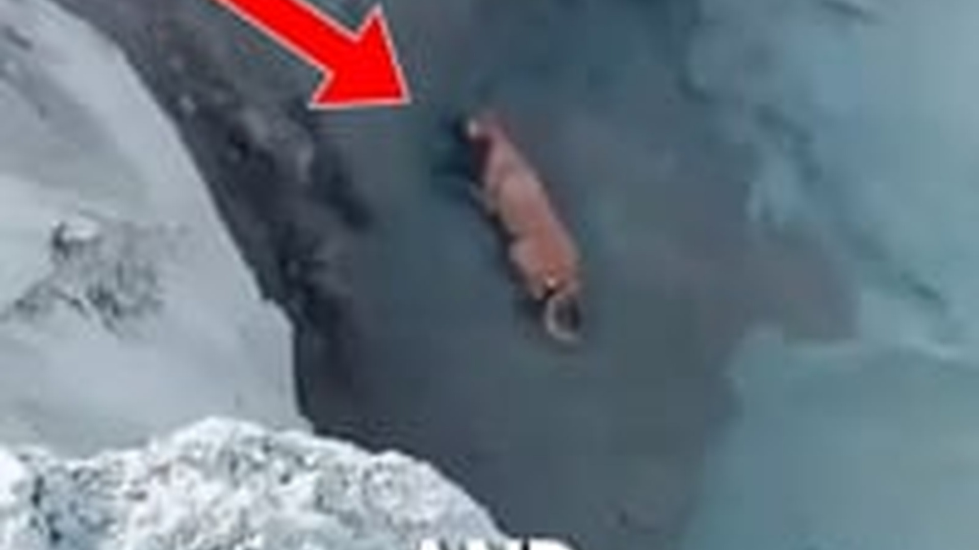 N1004063_A rescue almost went wrong putting a life in danger