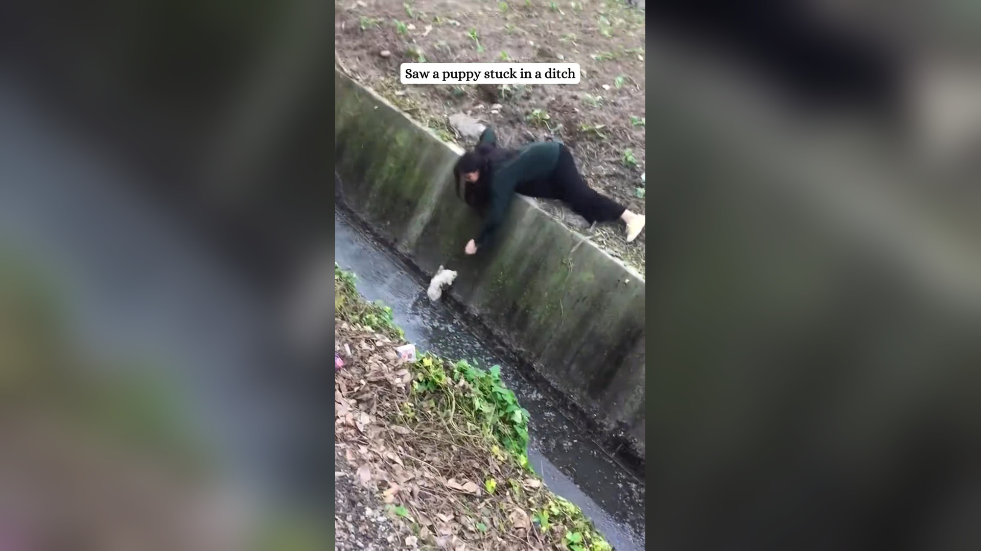 N0205033_From being unwanted… to finally being chosen