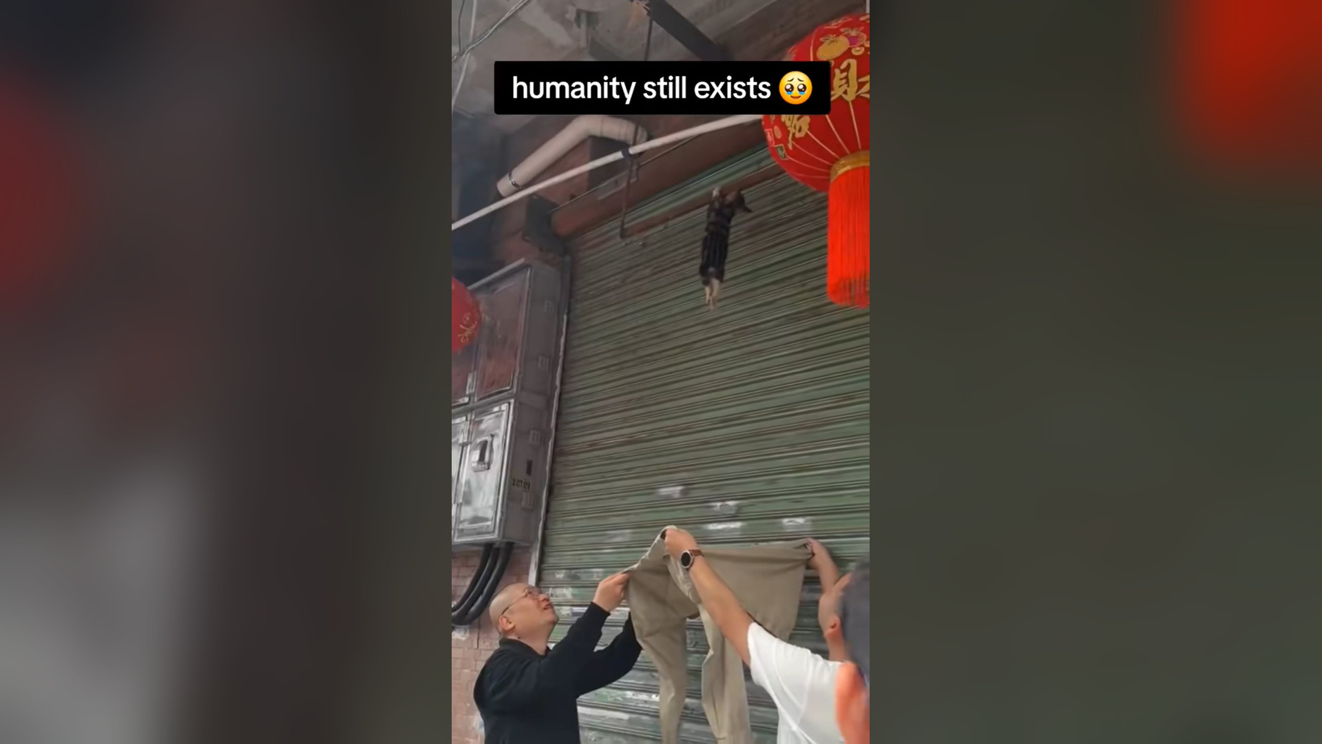 N2005025_Please Respect Every Small Act of Kindness Toward Animals #SaveAnimals #Viral