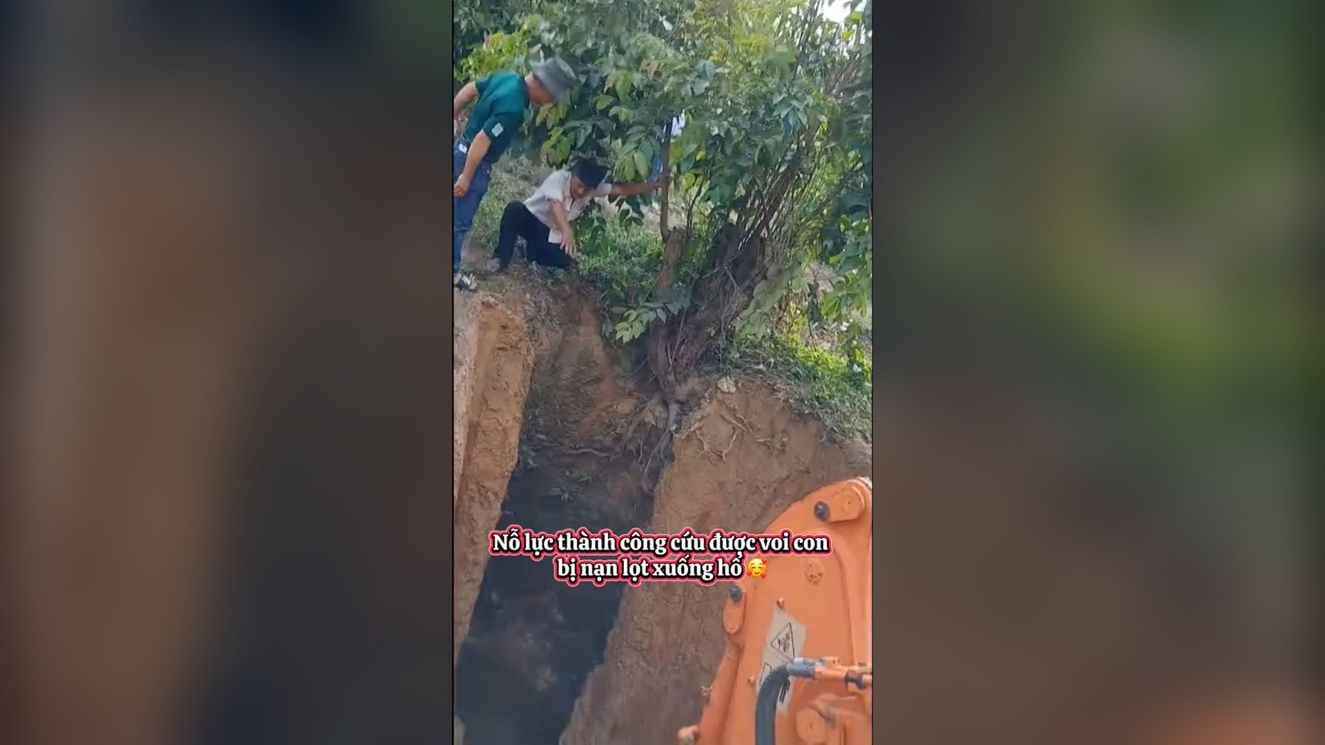 N2105037_Rescuers Worked Fast to Save a 3 Year Old Elephant From a Deep Pit #Wildlife #Viral