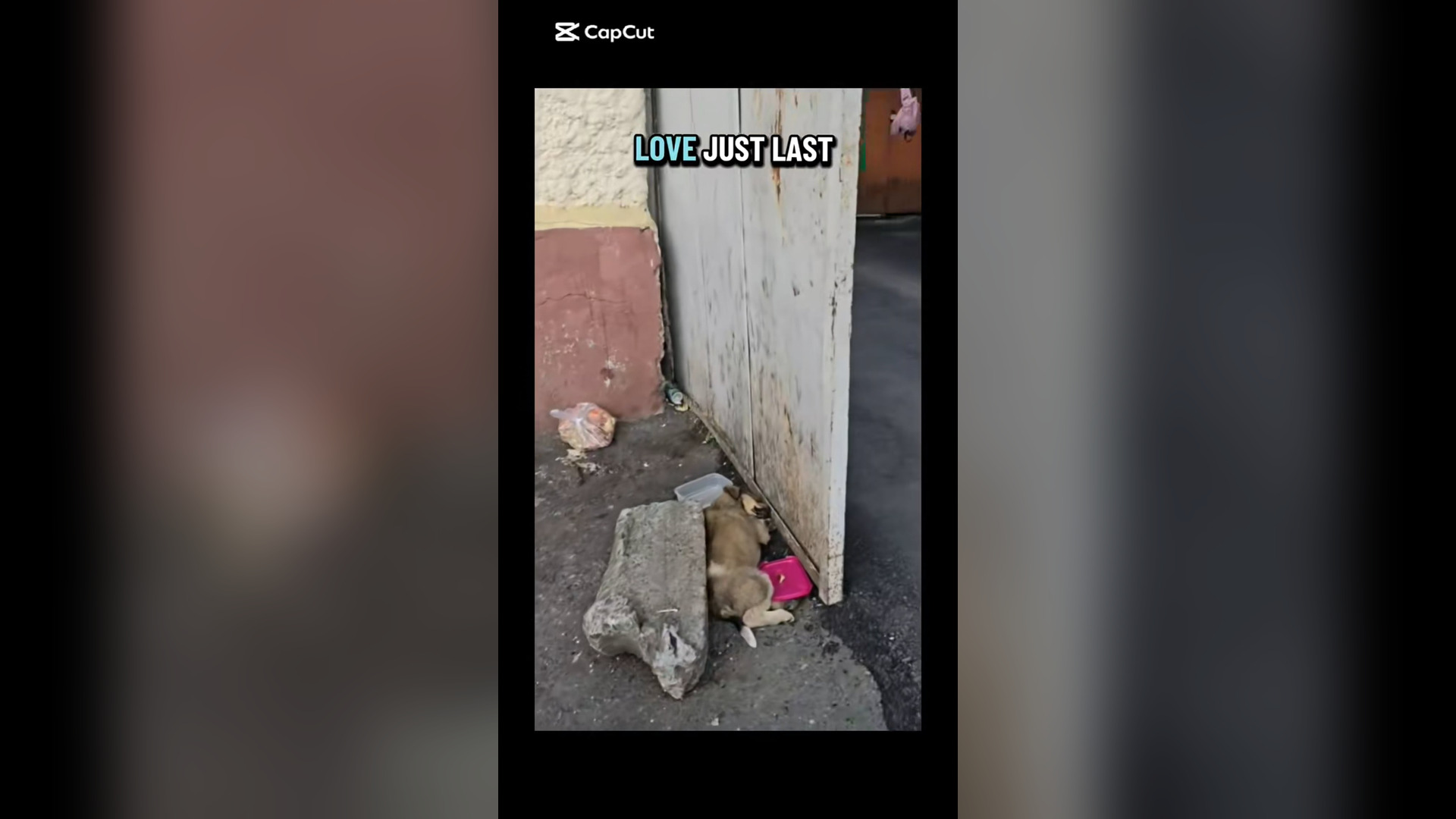 N2705008_A Tiny Abandoned Dog Could Not Move and Was Slowly Giving Up #RescueDog #Viral