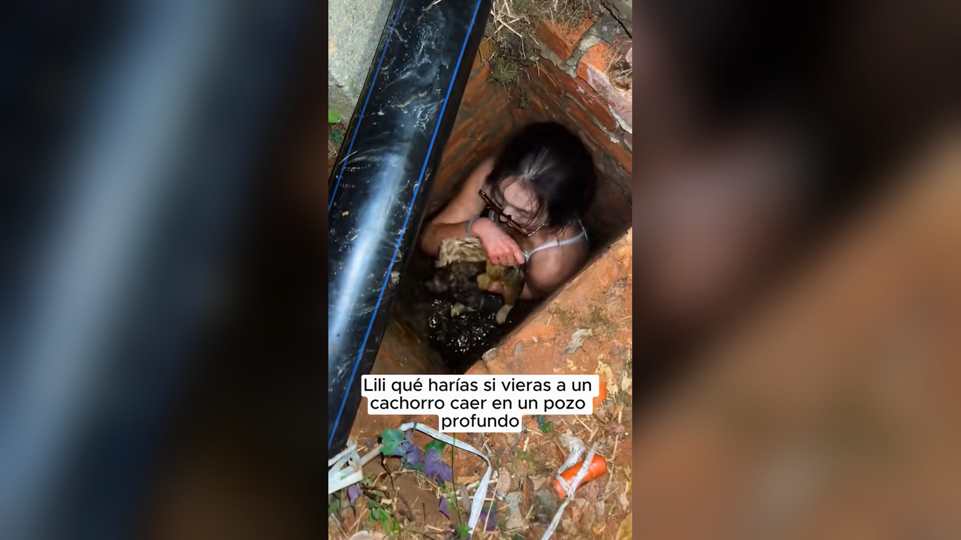 N2805004_Puppy Climbed Out Of Well And Was Saved #puppyrescue #animalrescue