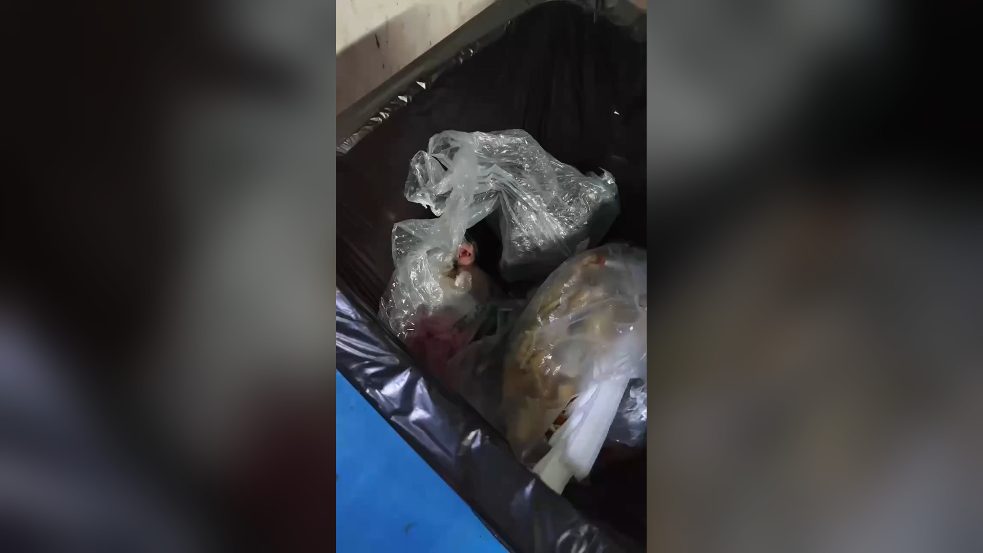 N0606004_An Abandoned Cat Was Left Alone Until Kindness Arrived #RescueCat #Viral