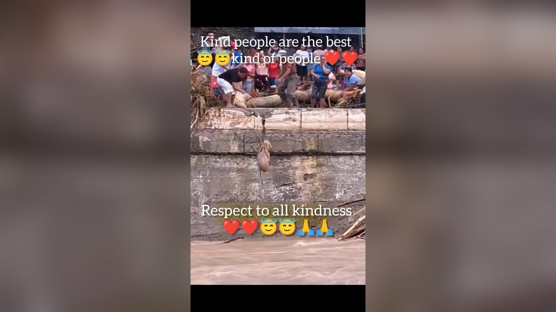 N0906040_This Animal Rescue Story Will Melt Your Heart #RescueAnimals #Viral