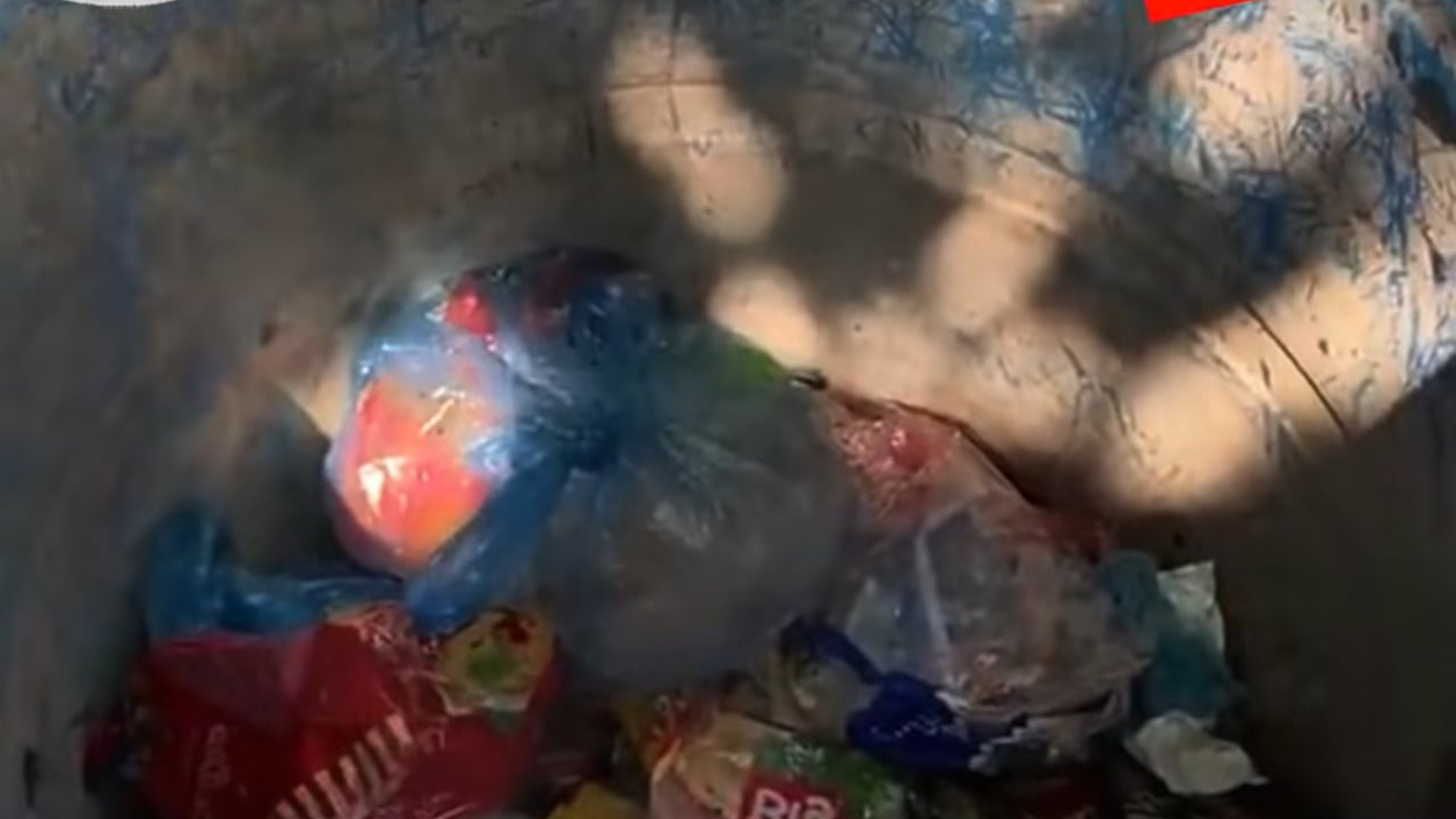 Full Video : N1606009_A Cry For Help Echoed Through The Darkness #RescueAnimals #Viral