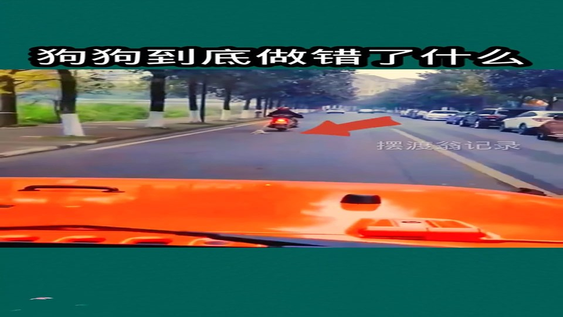Full Video : N1706034_Rescuers Couldn't Walk Away From This Helpless Soul #RescueAnimals #viral