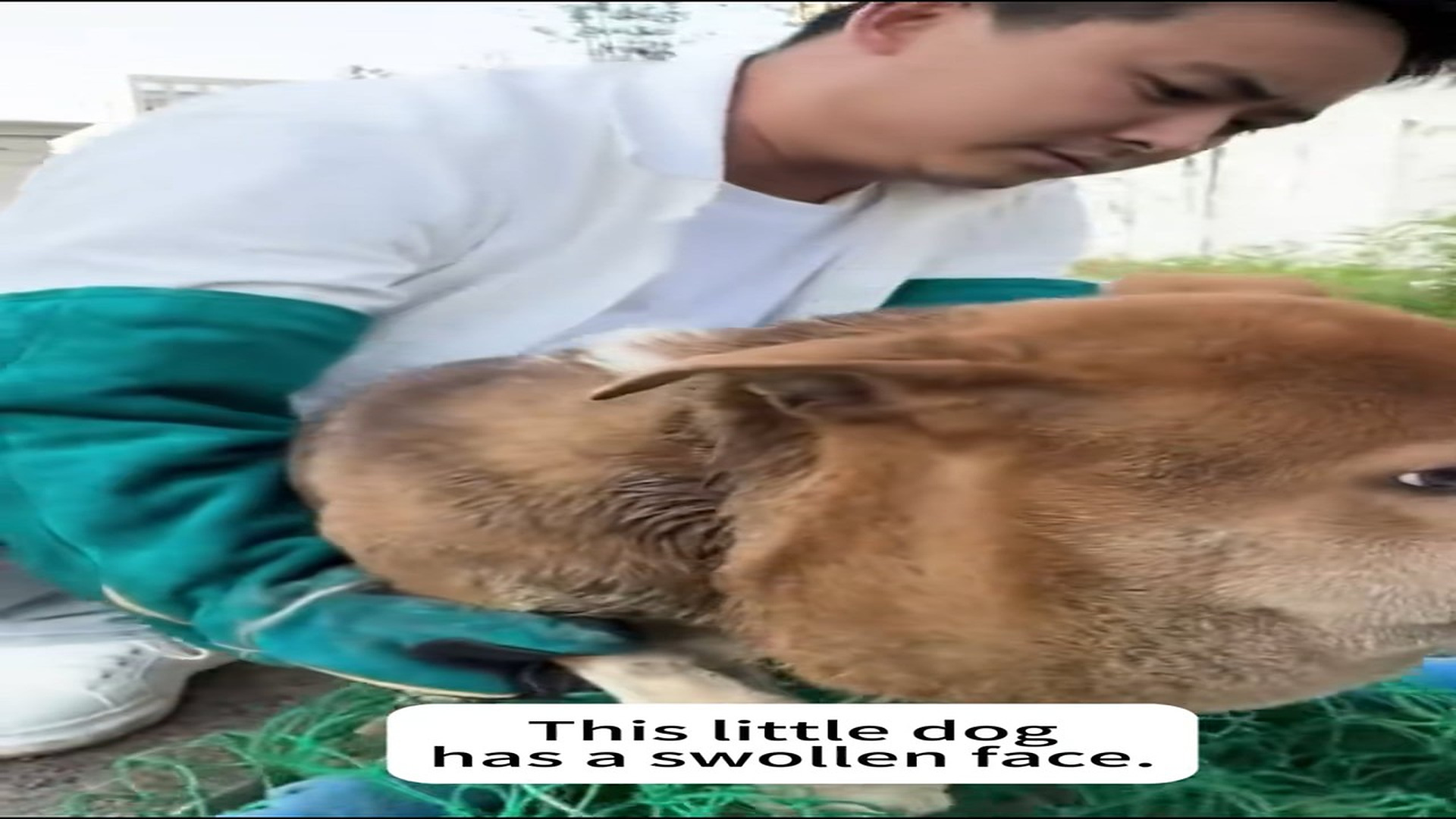Full Video : N0307011_An Abandoned Country Dog Finally Found Someone Who Cared #DogRescue #Kindness #FYP