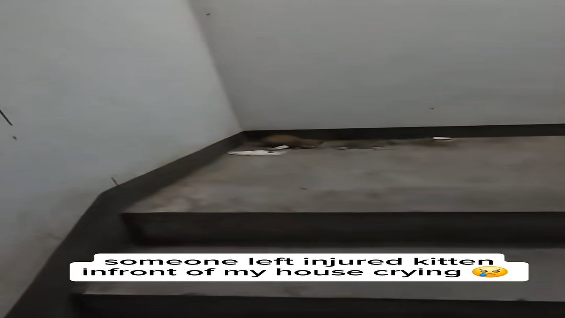 Full Video : N0607026_Someone Threw This Helpless Soul Away Like Trash #AnimalRescue #SecondChance #Viral