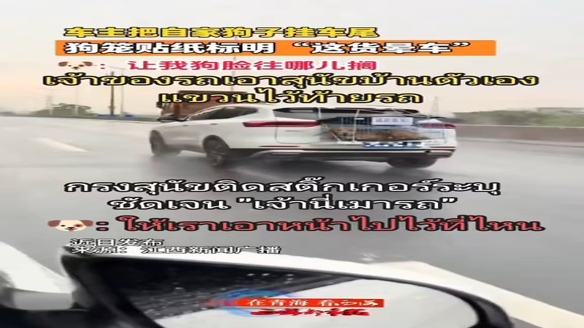 Full Video : N1407022_A Dog Dragged Behind a Vehicle Finally Got the Justice It Deserved #DogRescue #Compassion #Hope