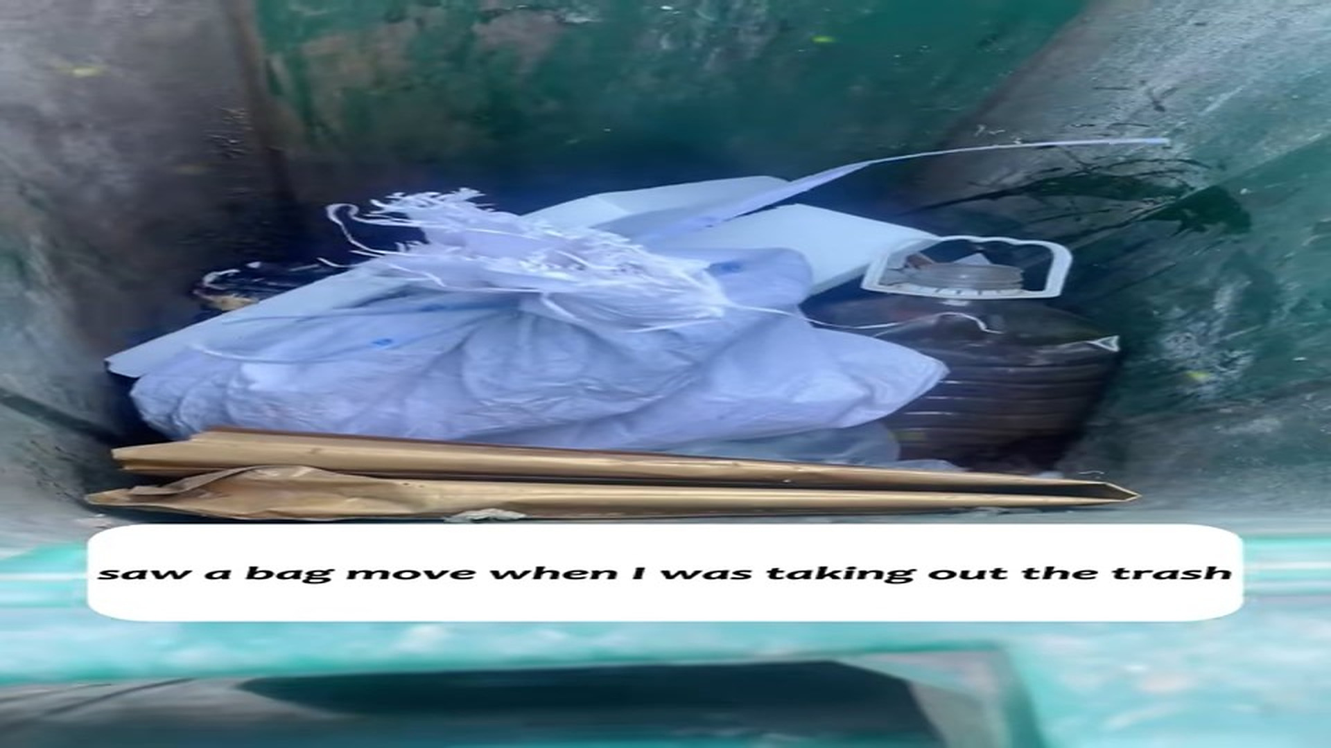 Full Video : N0709016_A Moving Bag in Trash Revealed a Crying Life #Rescue #Shock