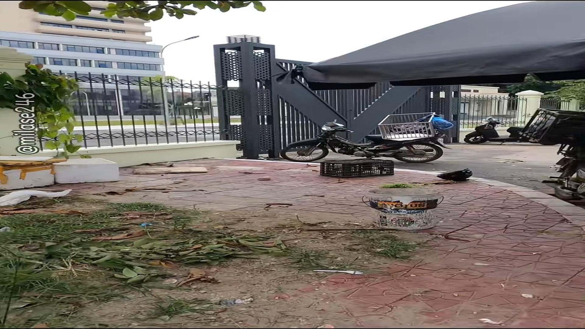 Full Video : N1509018_This Chained Dog Was Treated Like A Slave Until Someone Saved Him #DogRescue #AnimalRescue #SecondChance