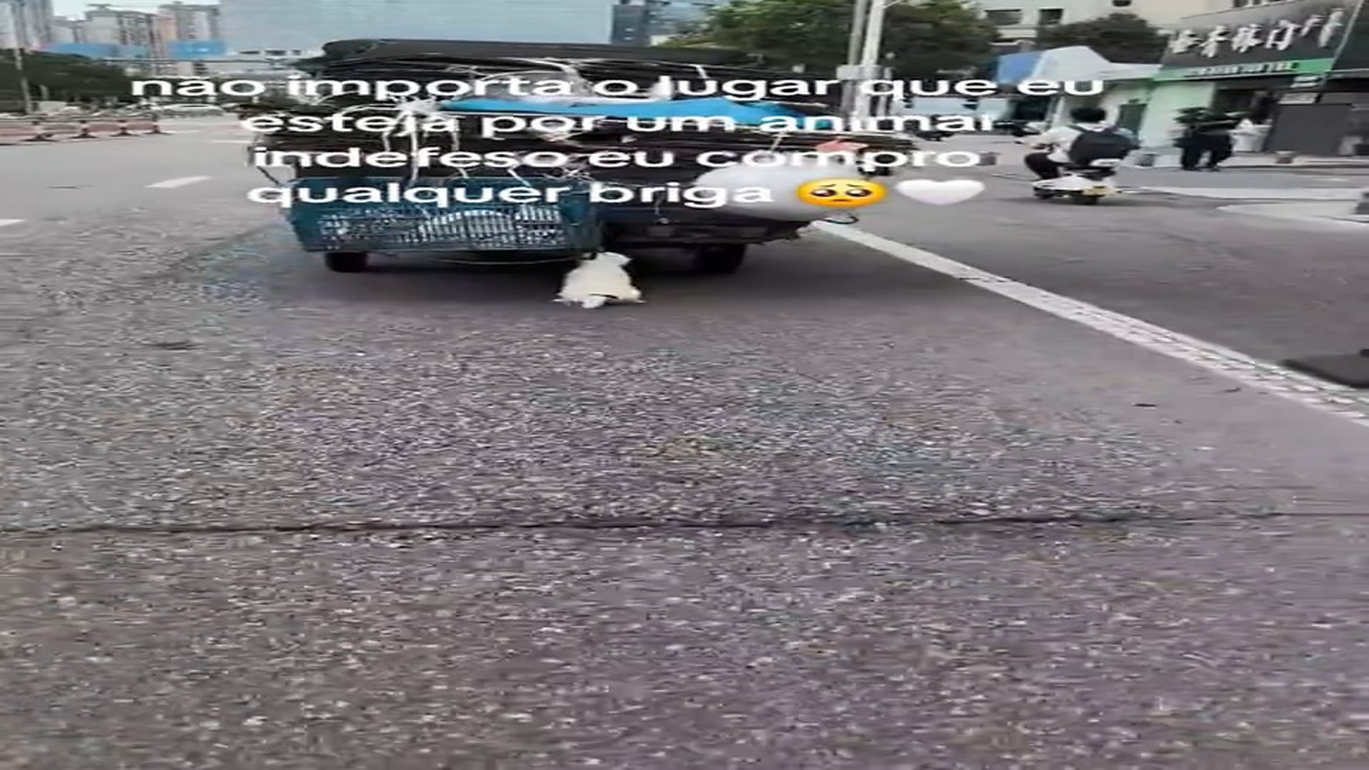 Full Video : N1509021_This Poor Dog Was In Desperate Need Of Rescue #DogRescue #AnimalRescue #UrgentRescue