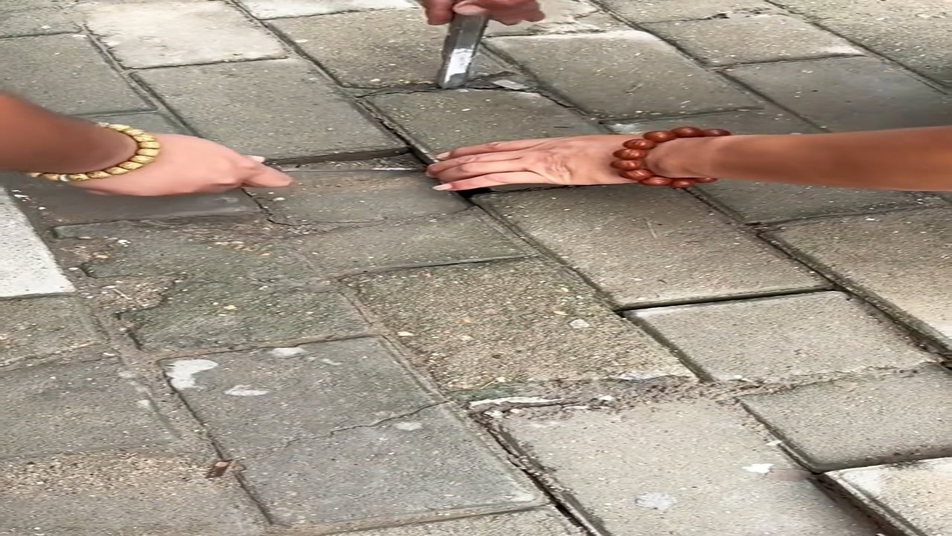 Full Video : N1709032_We weren digging treasure we were saving kitten #save #anim